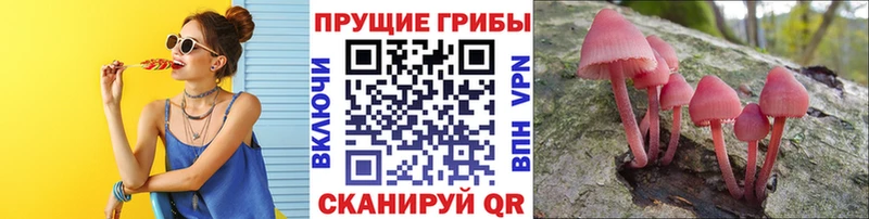 Псилоцибиновые грибы MAGIC MUSHROOMS Ряжск